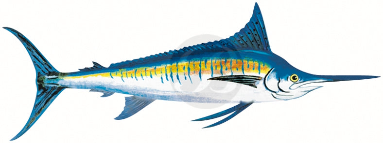 Blue Marlin Decal