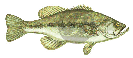 156, Largemouth Bass Fishing Rod Decal
