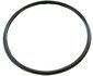 PacBay Large O-Ring